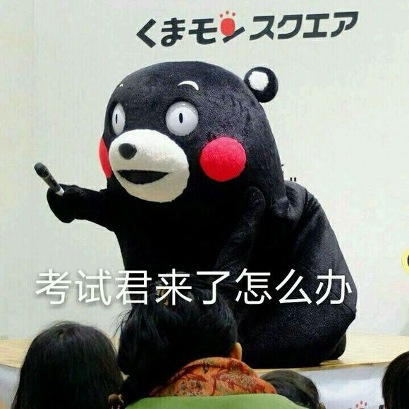 小熊熊可爱QQ表情大全_kanoo1.com第1张