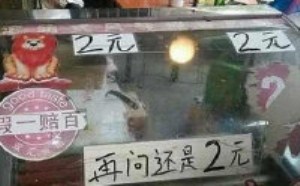 二元不讲价的？怎么都是2元