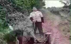 微信搞笑聊天对话!开车不方便 微信搞笑聊天对话!开车不方便