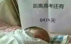 从小备战高考不想当状元都难 从小备战高考不想当状元都难