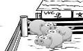 暴走漫画第三季厕所外面是养猪的