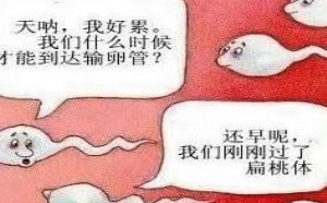 小伙伴们你们究竟是从什么地方进入的