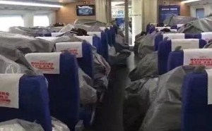 双11顺风也是疯了包了高铁运快递