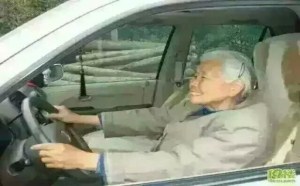 老太太开手就是任性不用找了 老太太开手就是任性不用找了