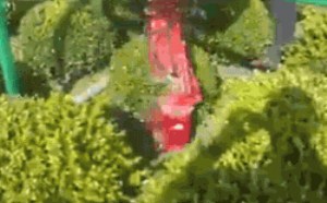 快速修枝机器。好像是特技分分钟搞定 快速修枝机器。好像是特技分分钟搞定