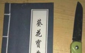 金镛群侠传之葵花宝典必先自宫